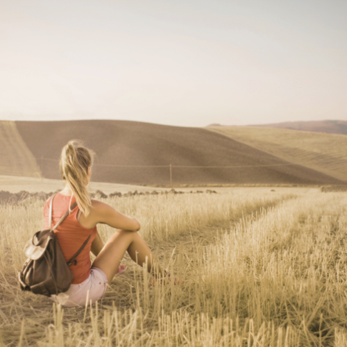 umgang mit narzissmus holistic mindset